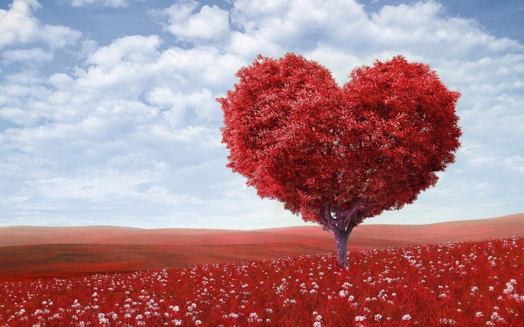 respiration, arbre, coeur, cohérence cardiaque, rouge